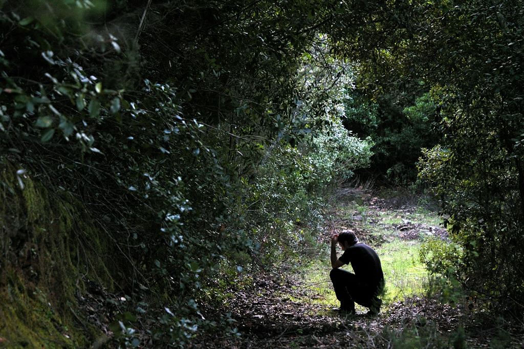 Nel mezzo del cammin di nostra vita...