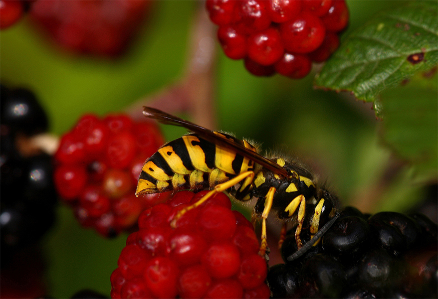 ...Una Buongustaia...!!!