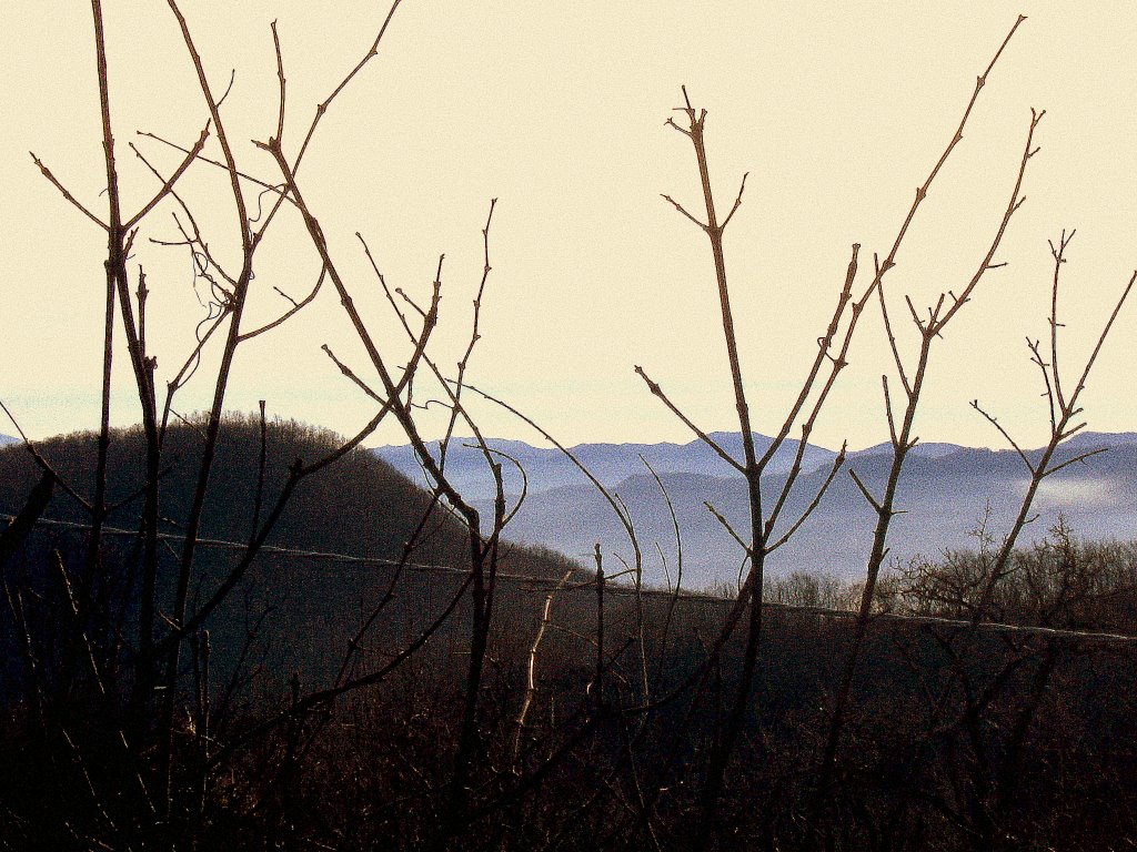 aspettando la sera...