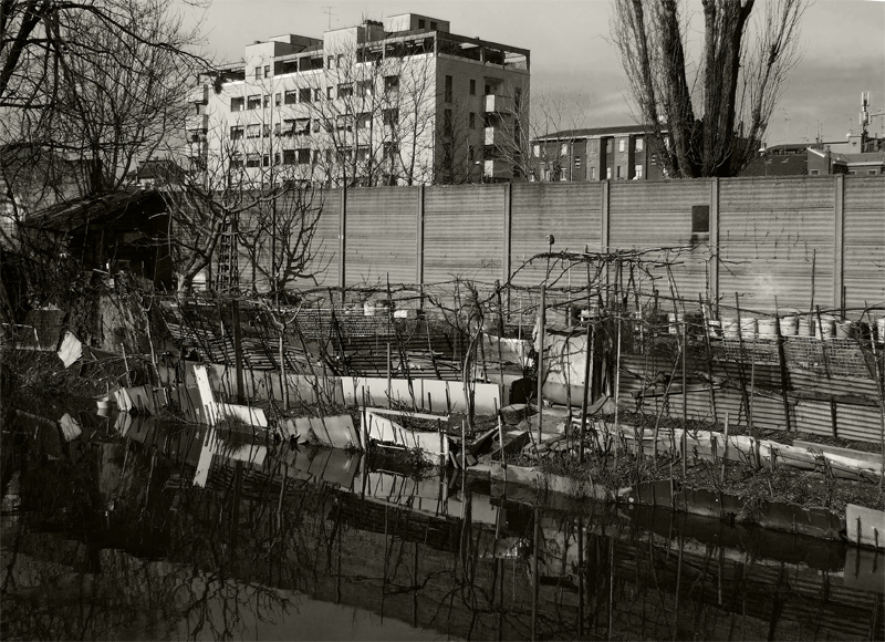 Disordine agricolo/metropolitano