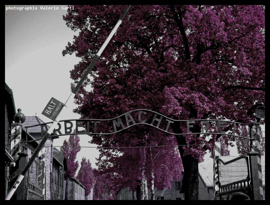 ....per non dimenticare