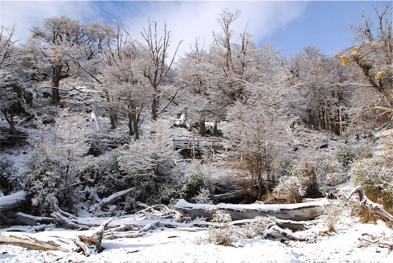 Scoprendo la Patagonia