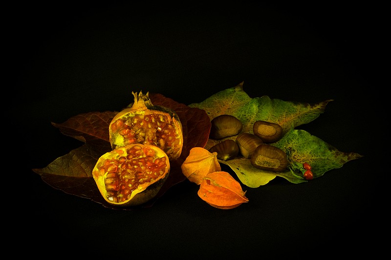 still.....still life