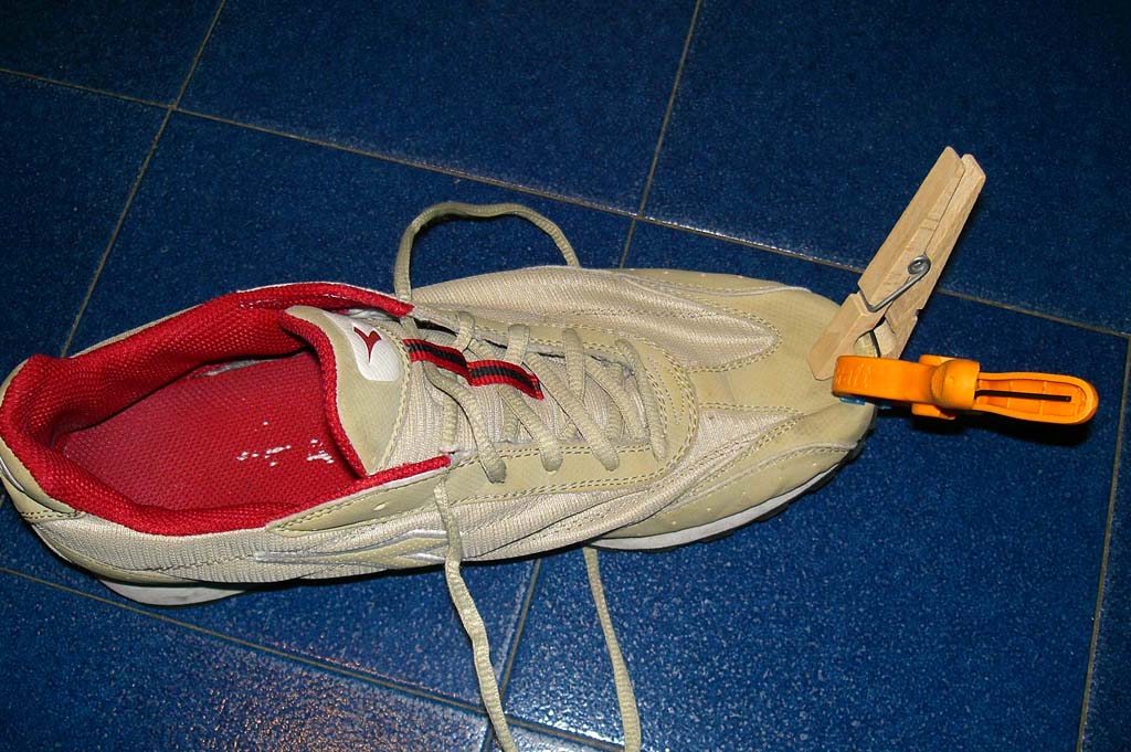 Di grande...Attualit�...(incollare...x non poter...acquistare)