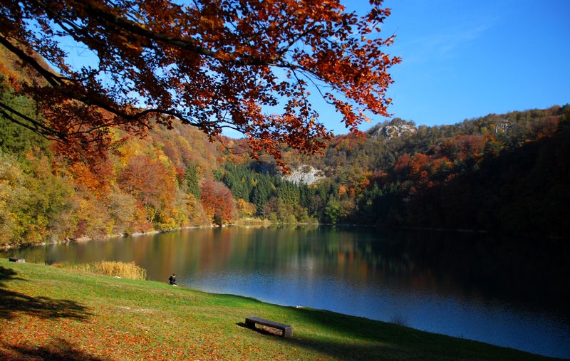 Il paradiso a colori