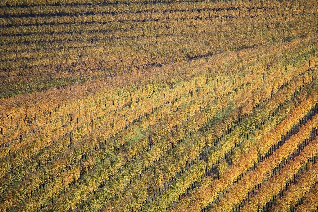Impressioni d'autunno