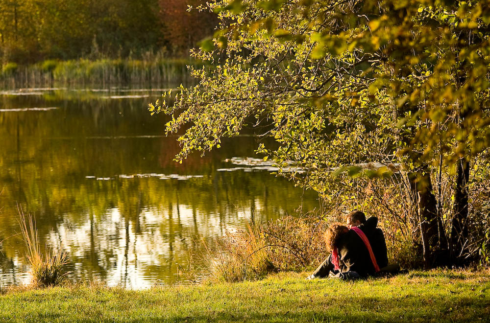 ultimi raggi d'autunno