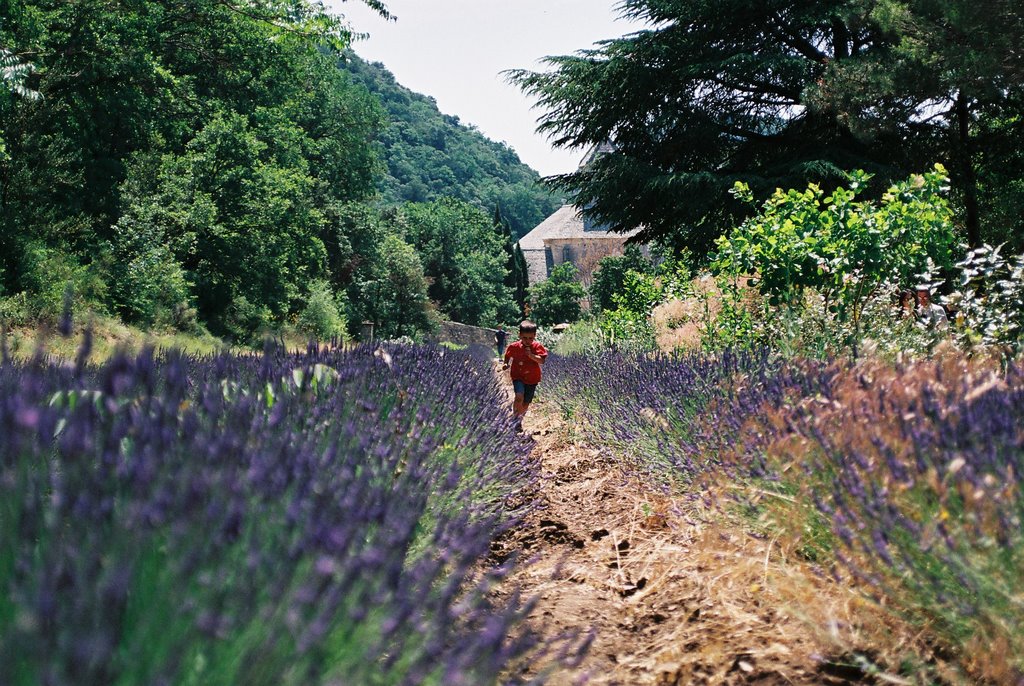 Corsa tra la lavanda
