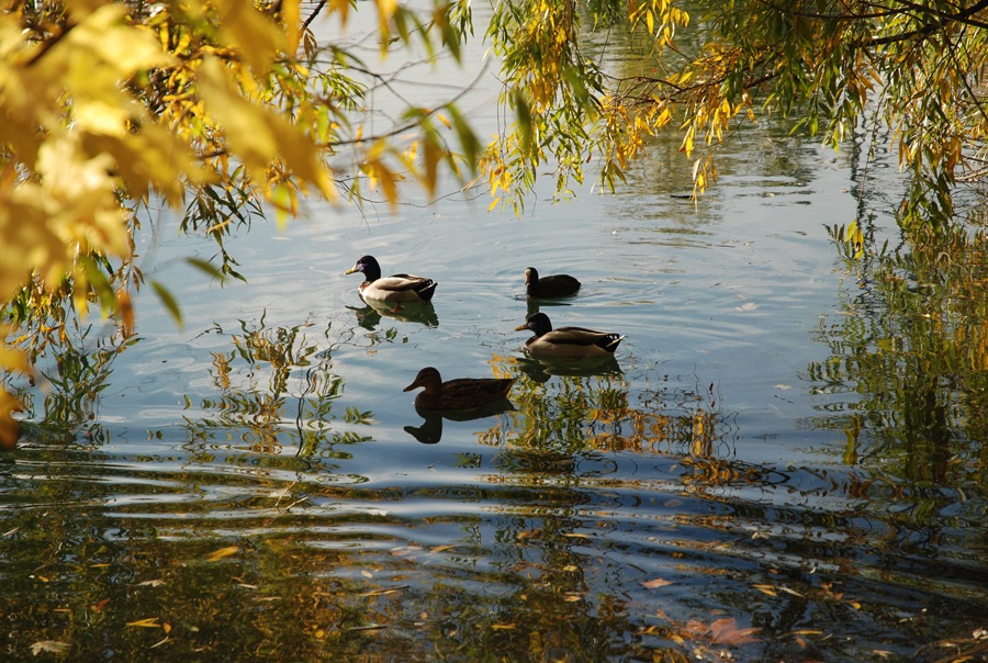 Ultimo sole d'autunno