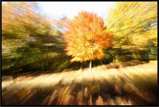 Esplosione autunnale