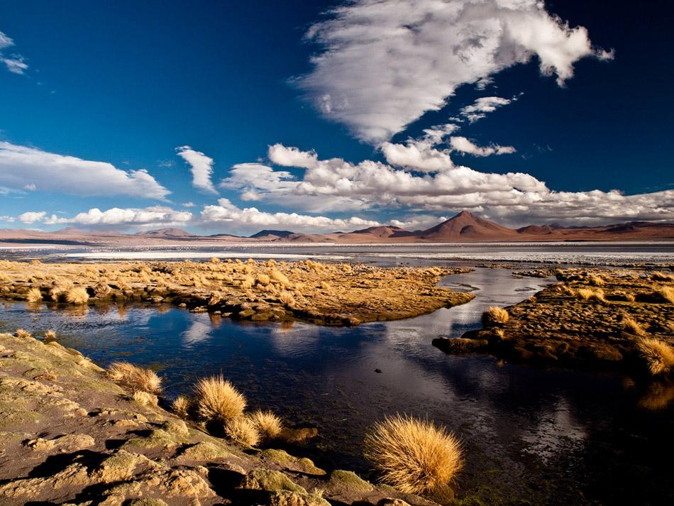 Laguna Colorada