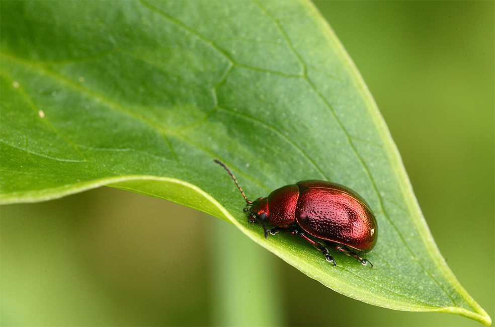 ...Lenta Risalita...!!!