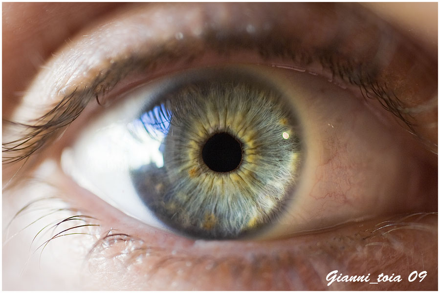 occhio