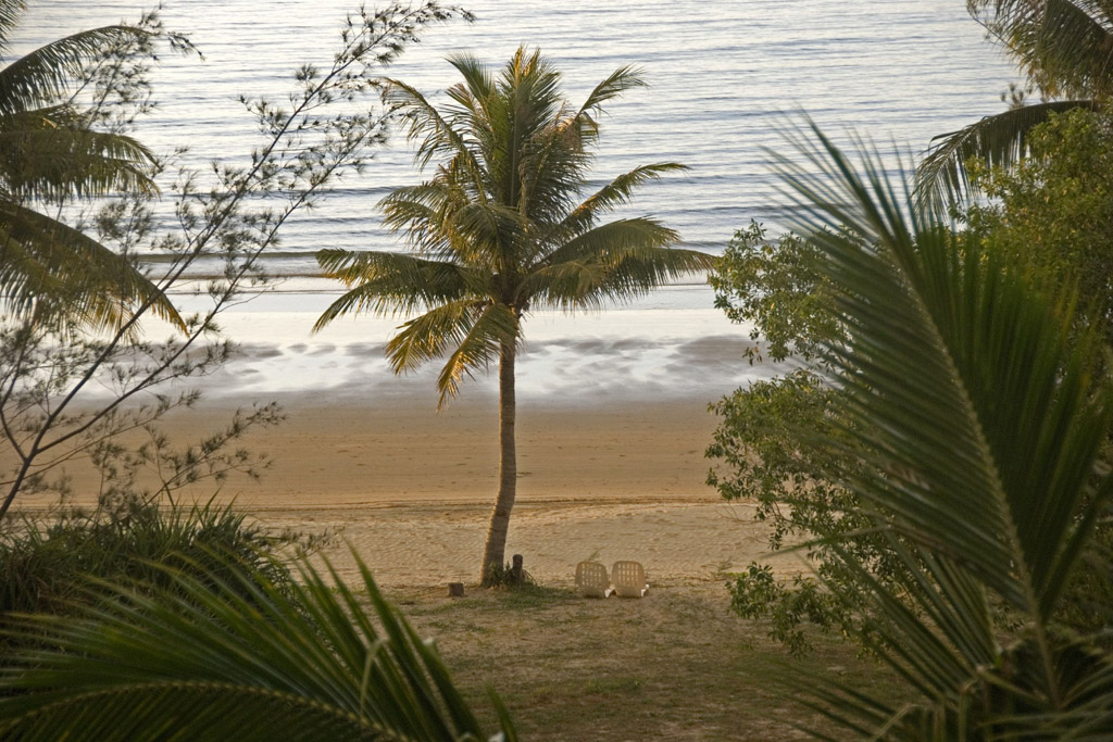 Una palma e due sdrai