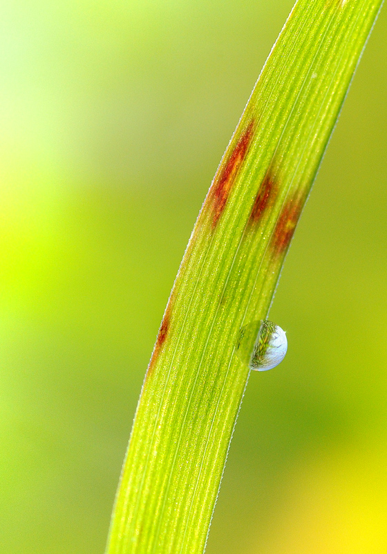 i colori di novembre