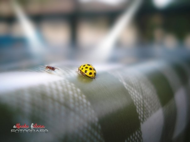 Mondi a confronto...