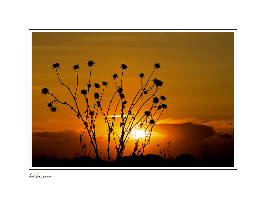 last hot summer...