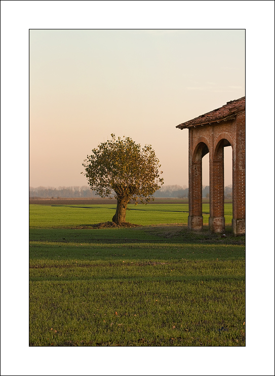 L'estate di San Martino