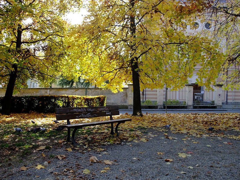 Parco d'autunno 2