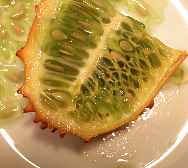 Gli alieni sono tra noi...