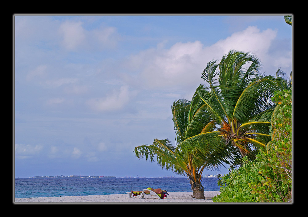 Sotto le palme......