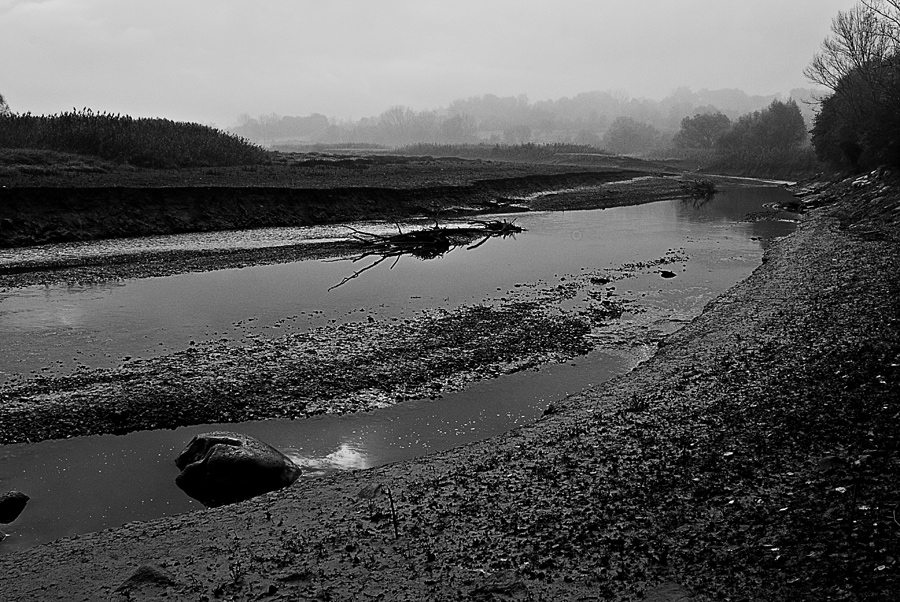 bianco e nero in una mattina grigia
