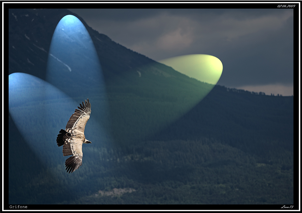 Grifone # 5 - giocando in post a rovinare una foto gi� brutta di sup....