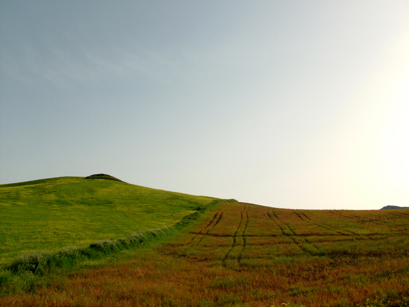 trampolino di lancio