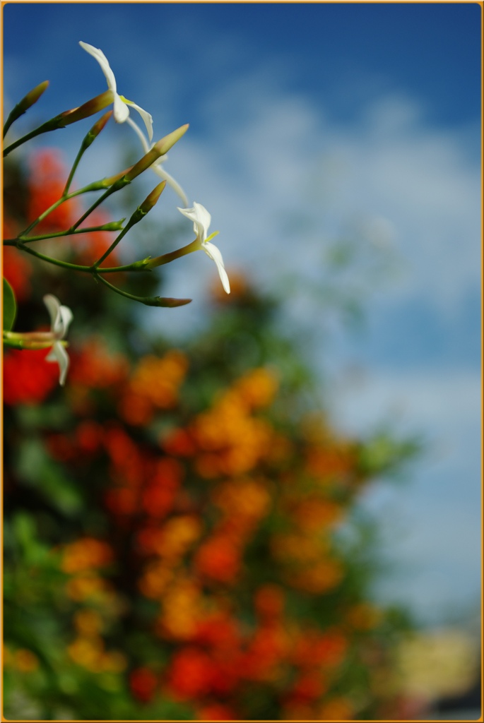 colori ravvicinati del terzo tipo