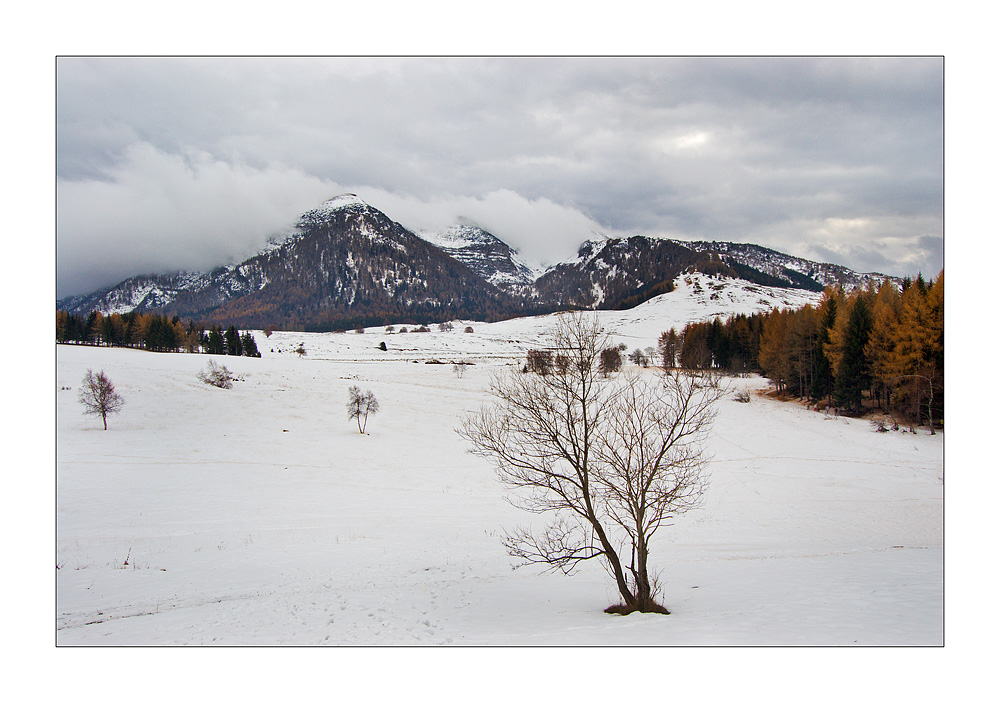 Il Colore Pi� Forte