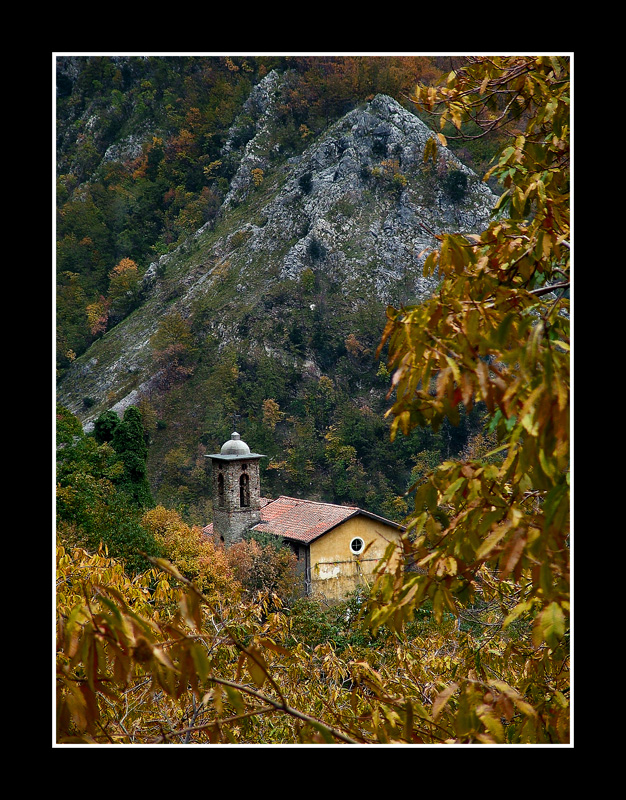 La chiesa nei boschi