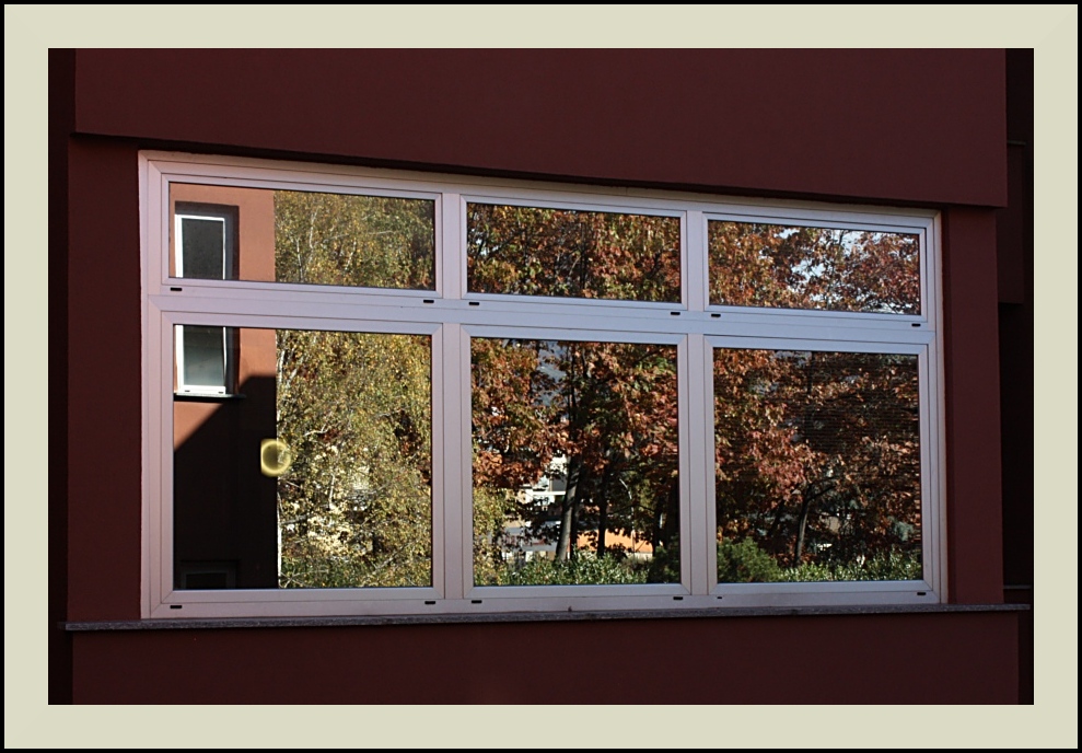 La finestra sul giardino