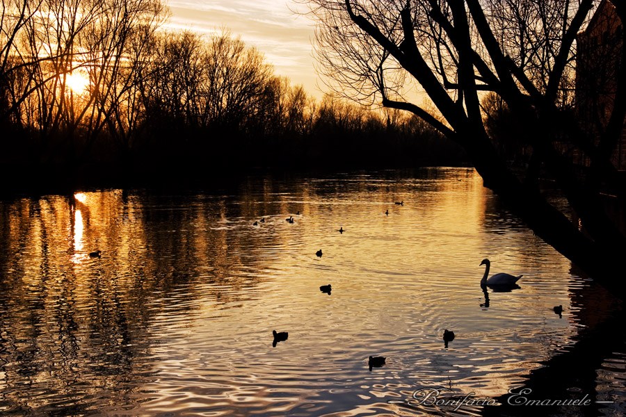 Treviso lungo il Sile