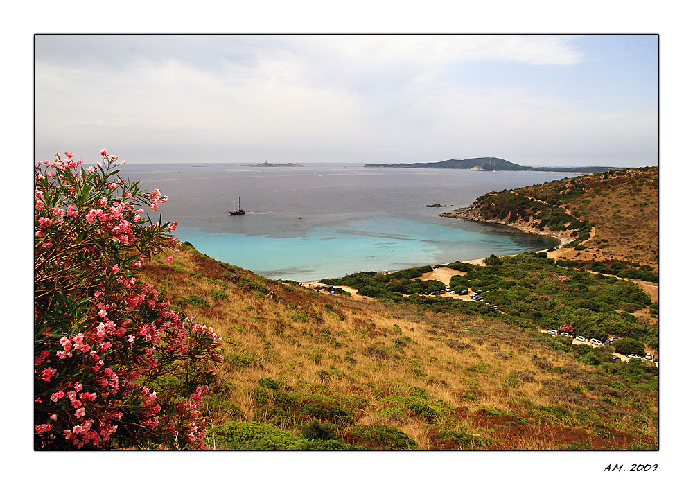 Sardegna 2009