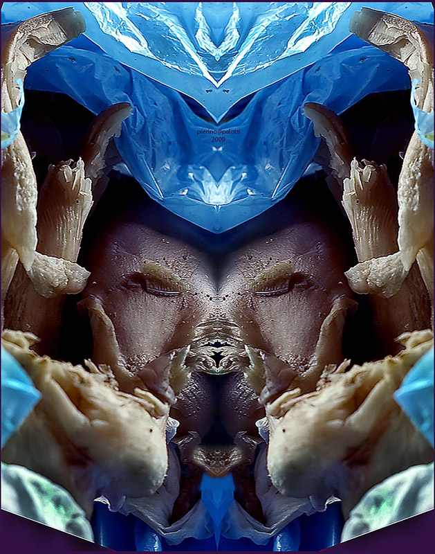 pioppini in busta aperta