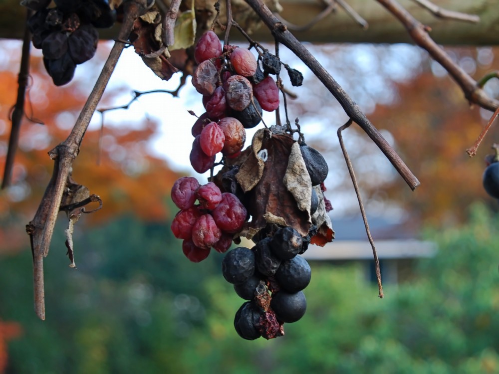 Alle porte dell'inverno