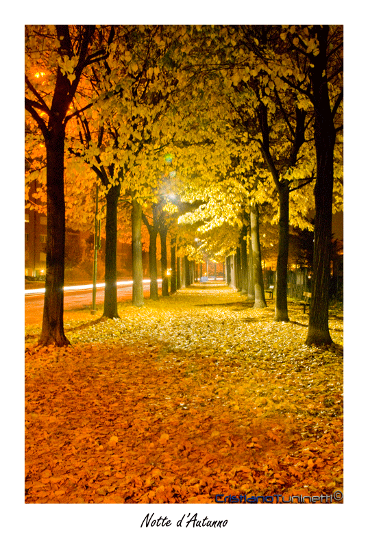 Notte d'Autunno