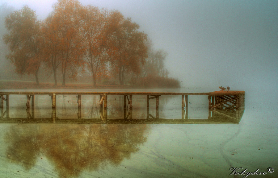 Nebbia sul lago