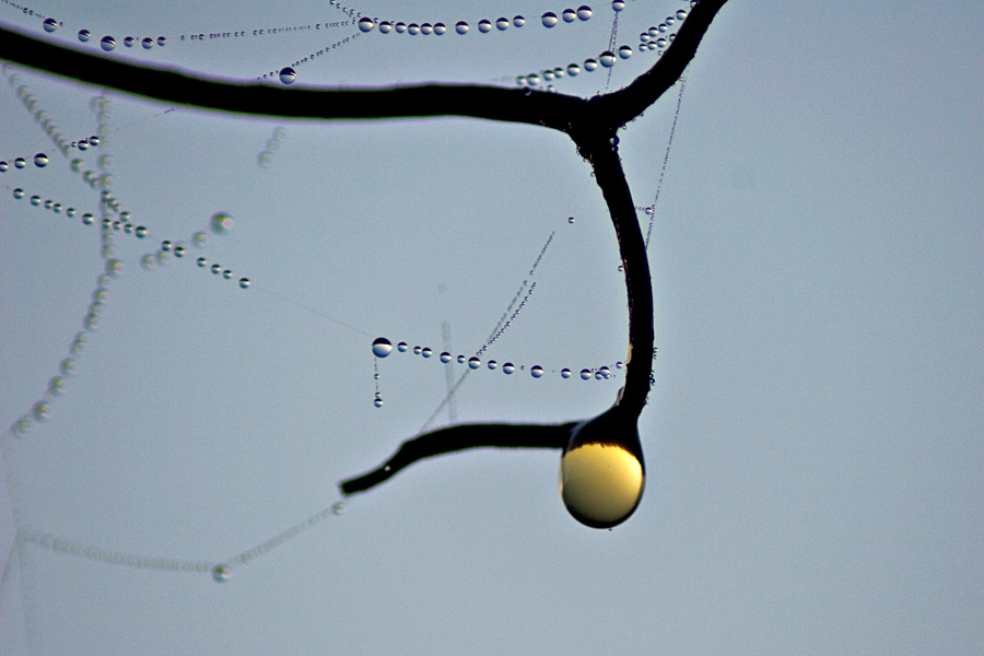 L'alba da un altro punto di vista