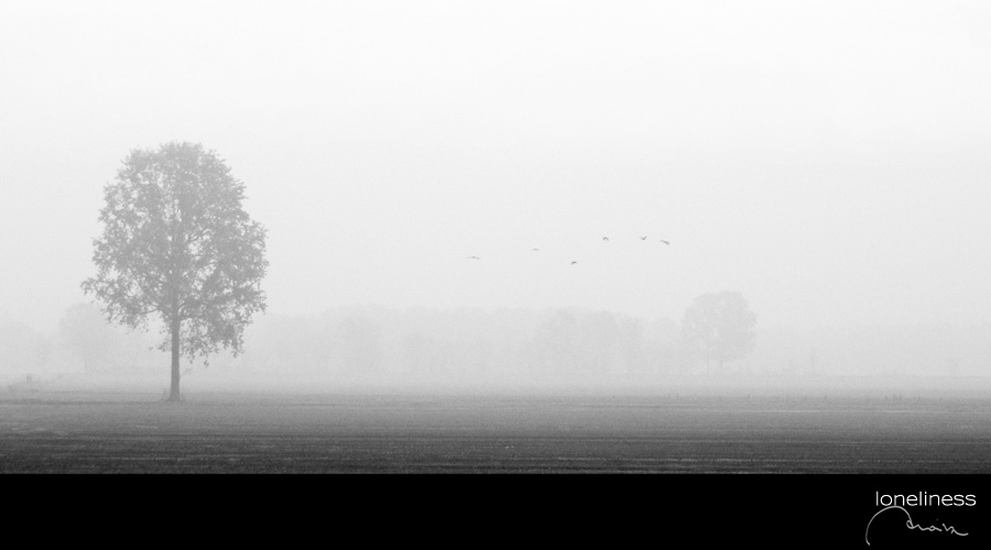 :: silence and loneliness