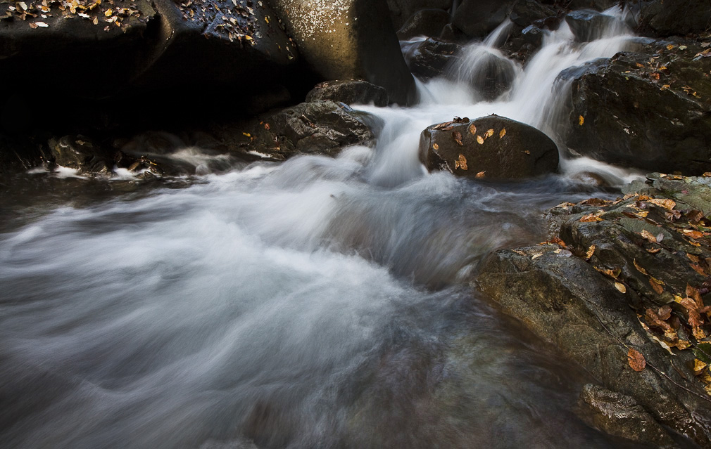 torrente in autunno