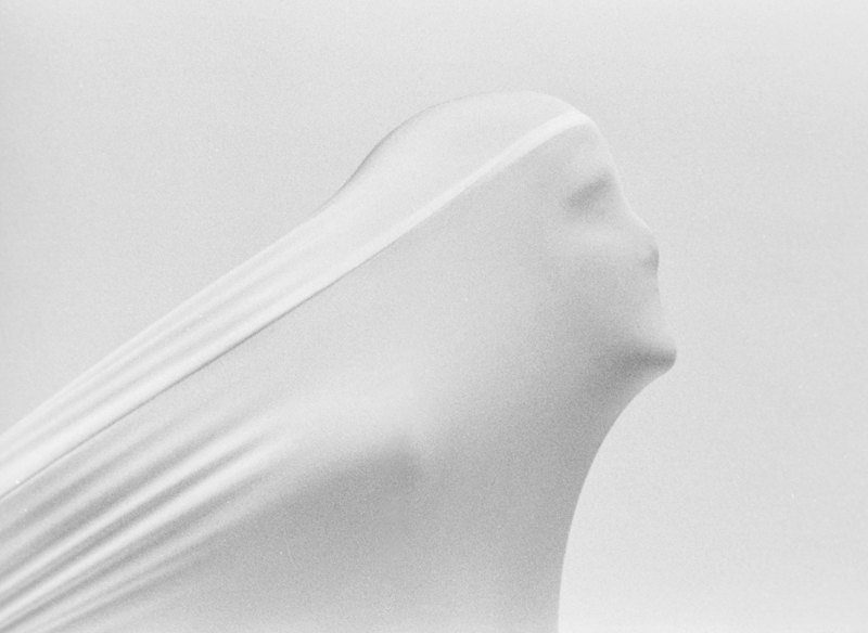 prove in studio nikon f