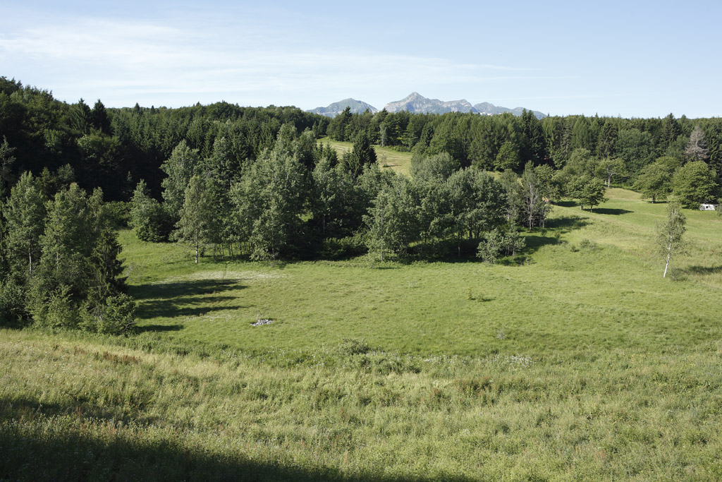 torbiera 3 - dall'alto