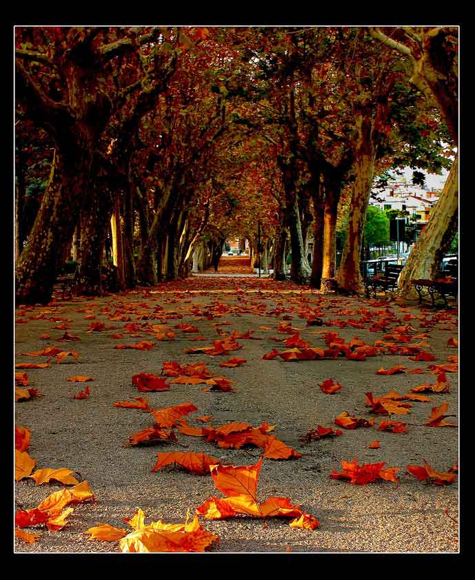 Un pomeriggio d'Autunno