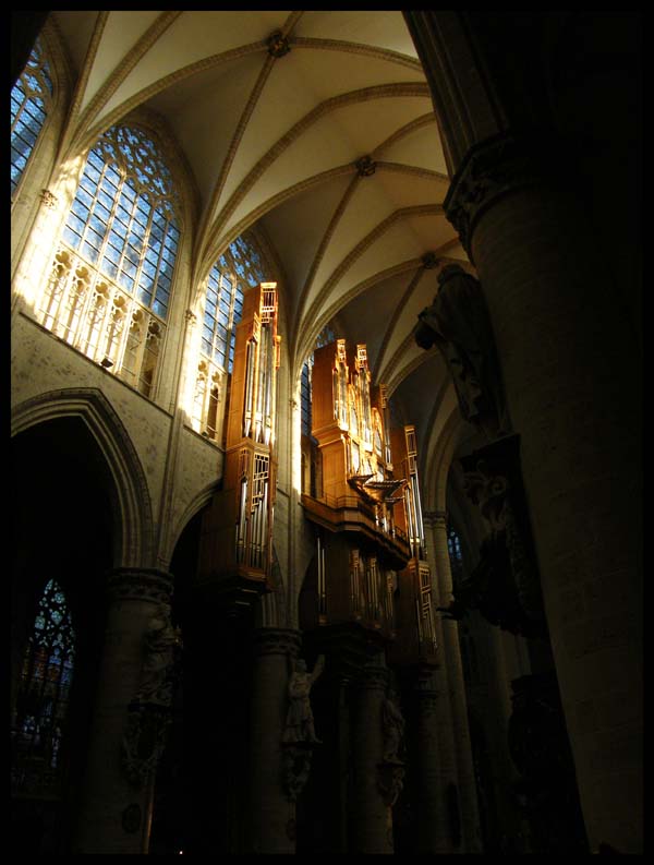 illuminati dalla musica