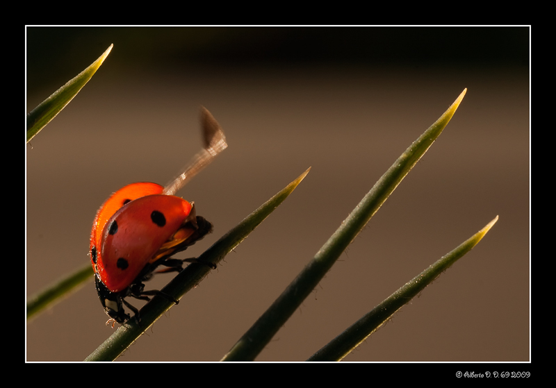 ...pronta per il volo...