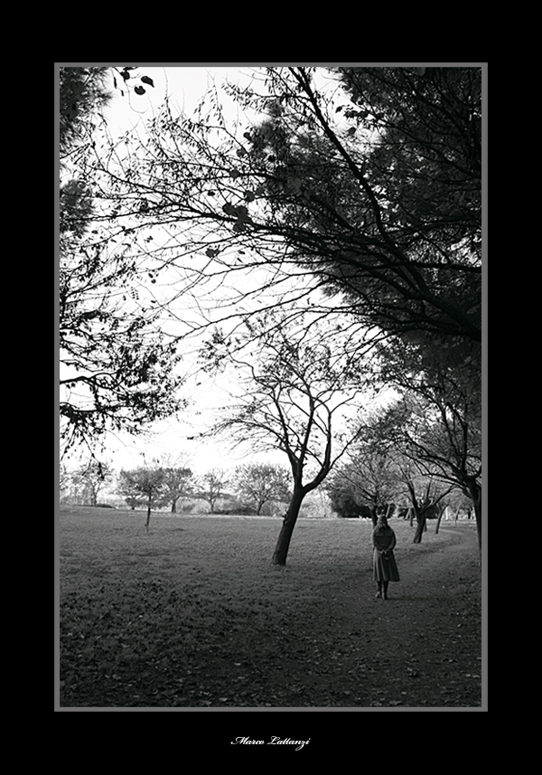 Camminando nel parco