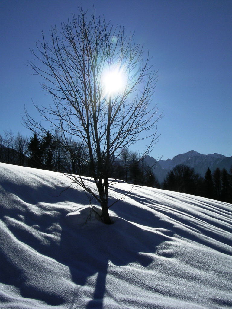 la magia del silenzio