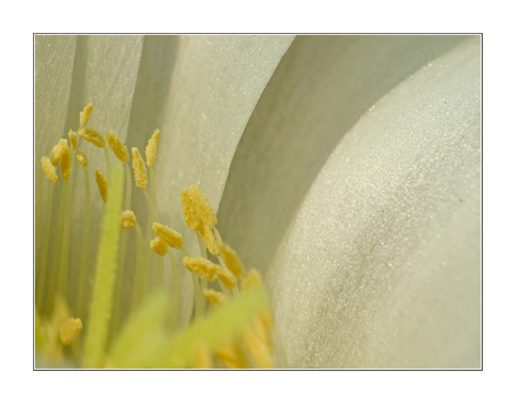 una volta e mai pi�