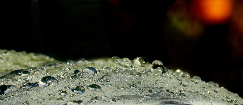 Sunseet on the drops's hills